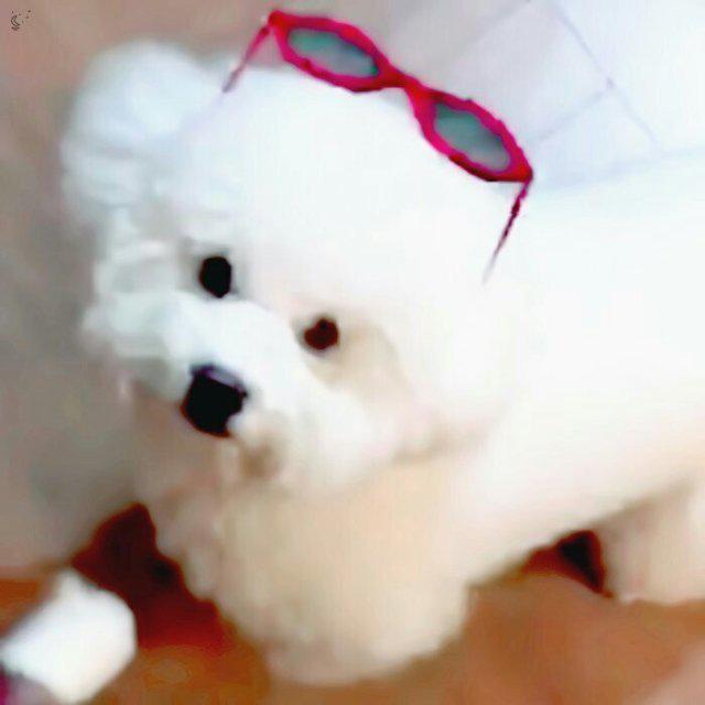 bsisj 프로필