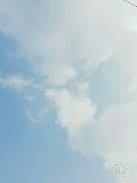 유니로즈 프로필