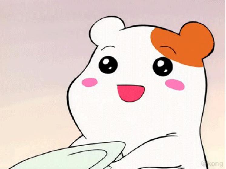 로카 프로필