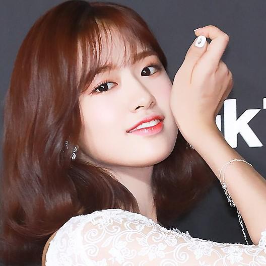 오뇨뇽도롱뇽 프로필