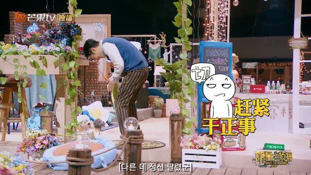 탬탬태 프로필