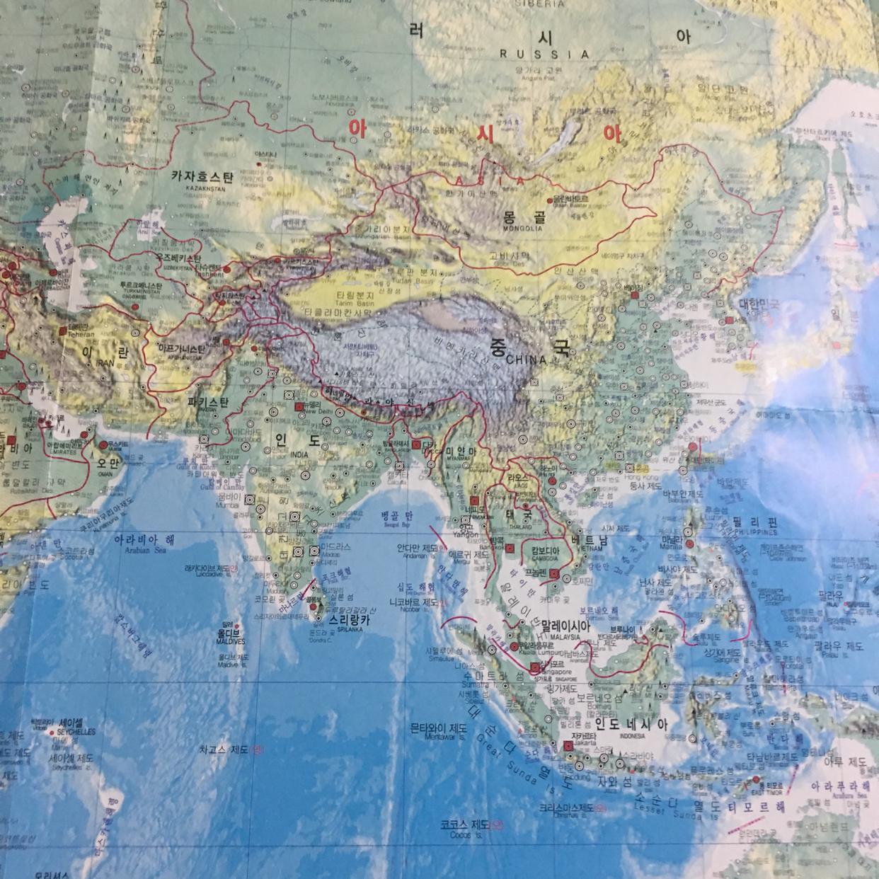럭키루시 프로필