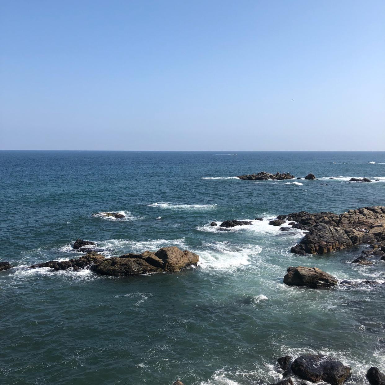 믹아 프로필
