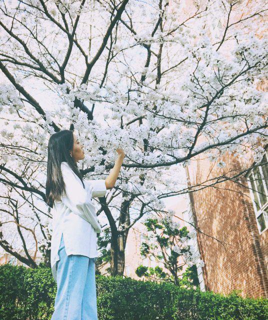 aike 프로필