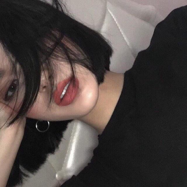 콩알탄 프로필