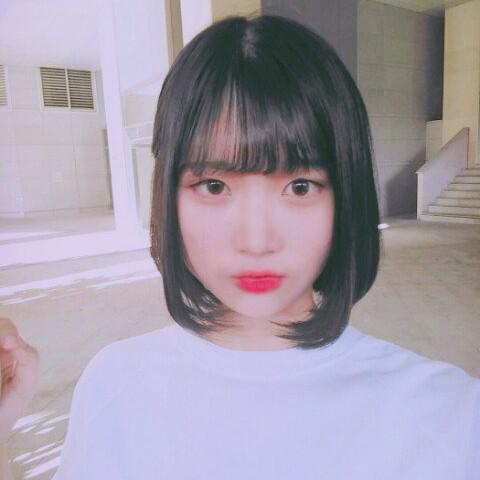 장굴이 프로필