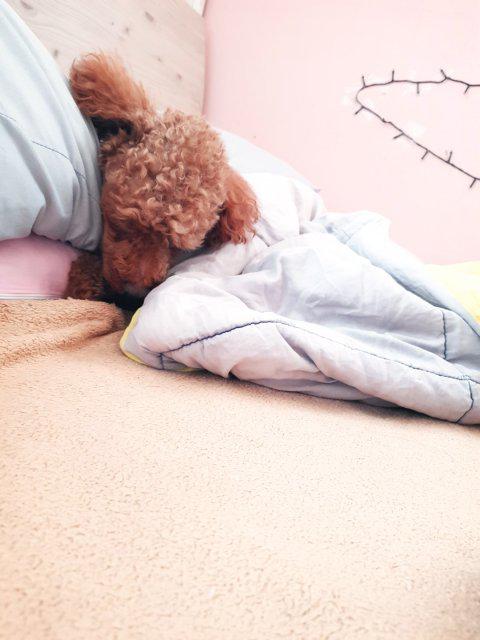 sehee4229 프로필