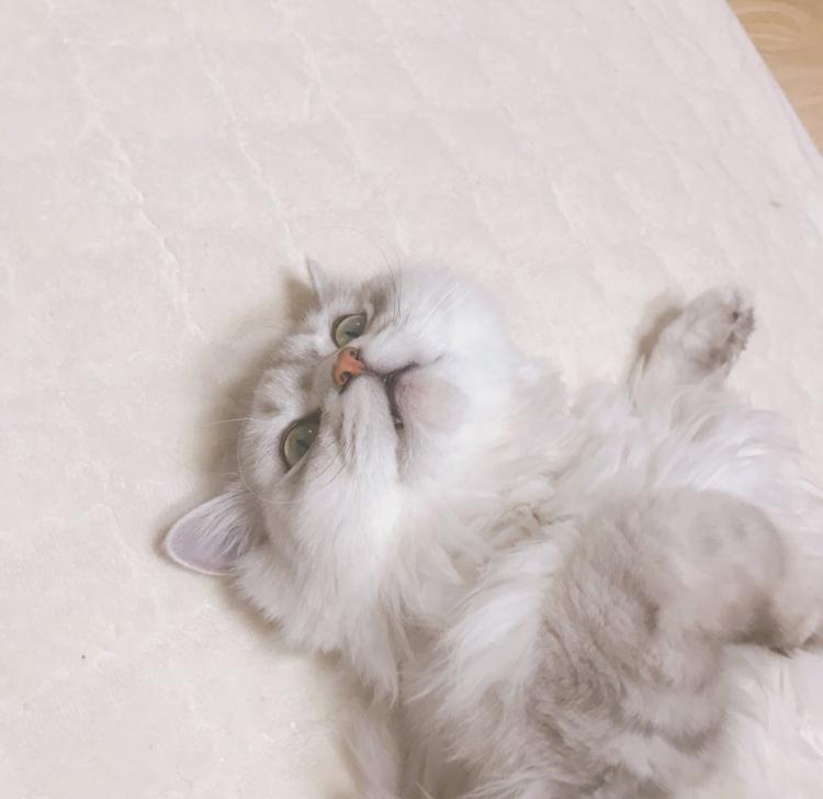 slslssssss 프로필