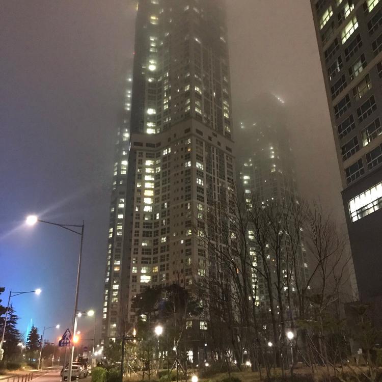솜솜잉22 프로필