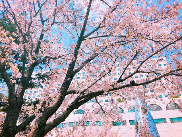 urbeatrice 프로필