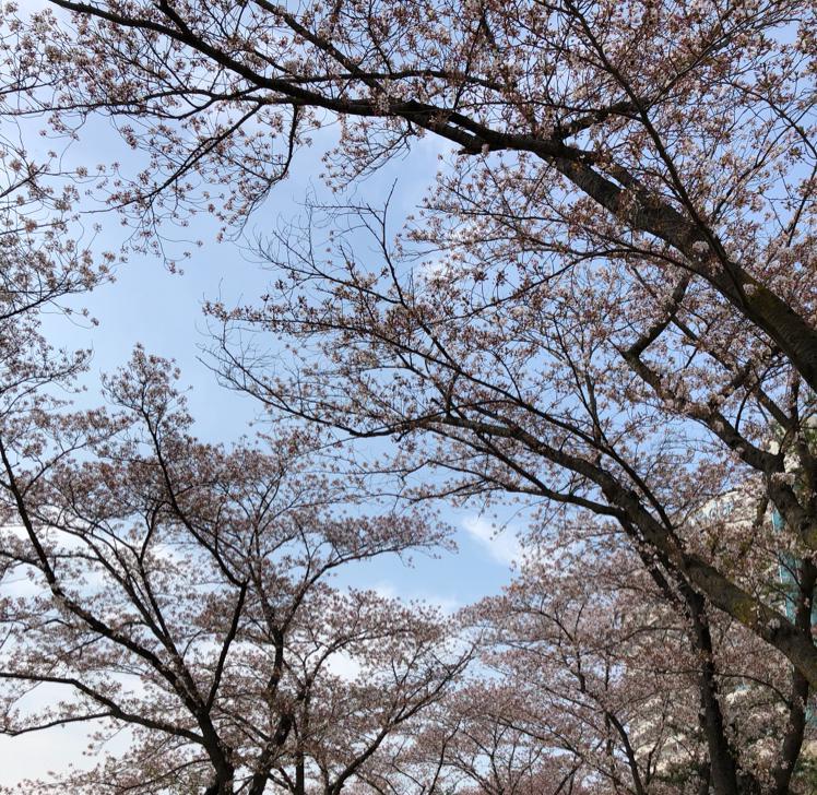 정뚱땡 프로필