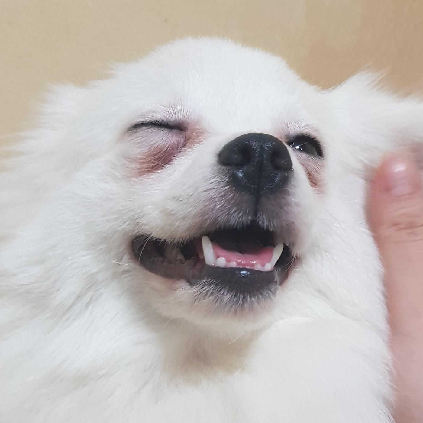 리뷰어 프로필