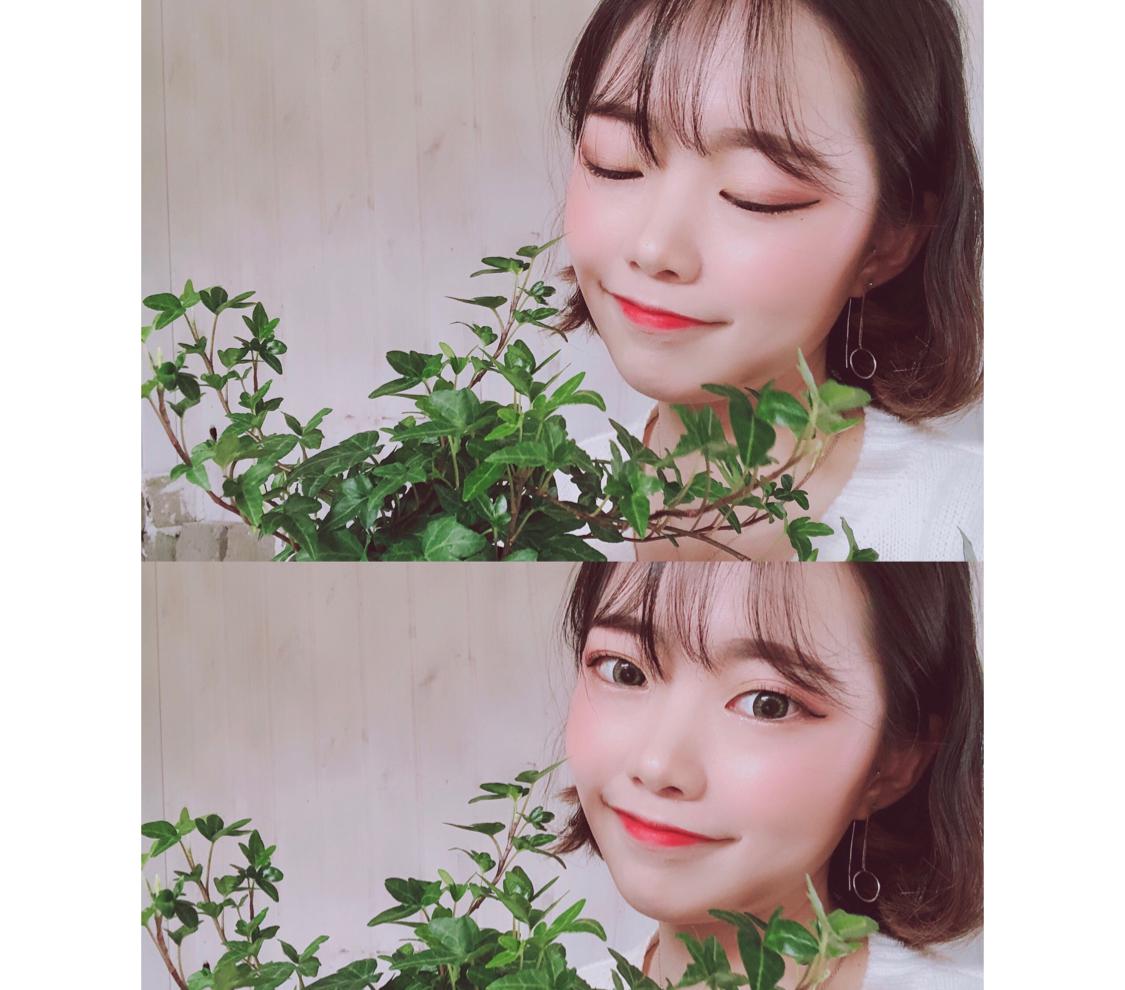 호야앙 프로필