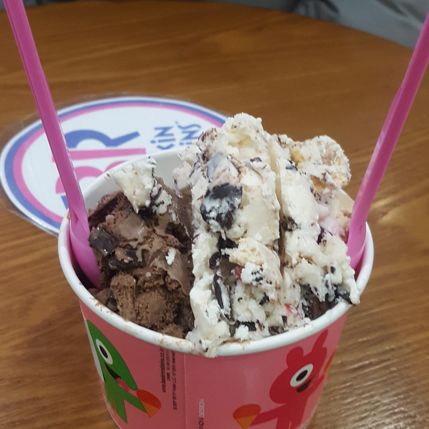 입흔챈이 프로필