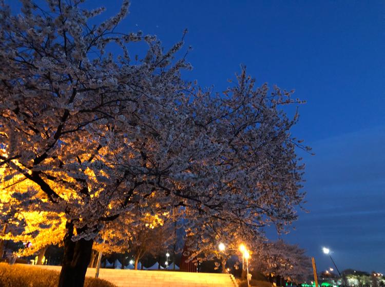 kkaattee34 프로필