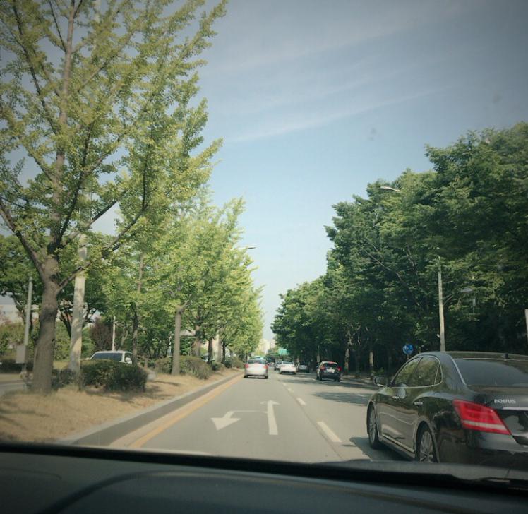 Daaaah 프로필