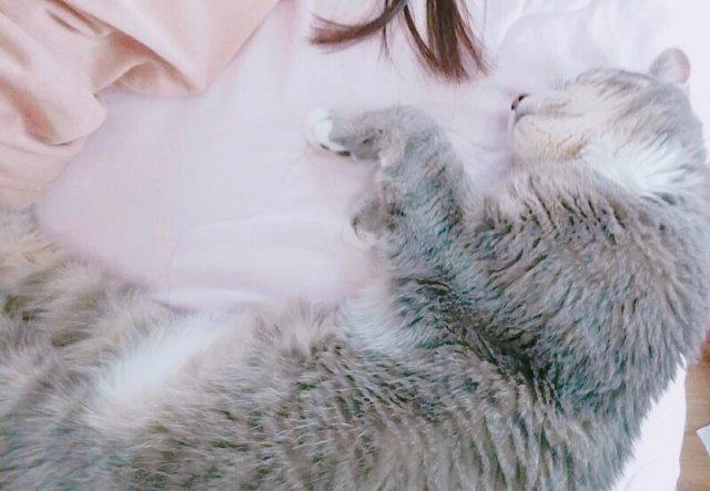 백구당 프로필