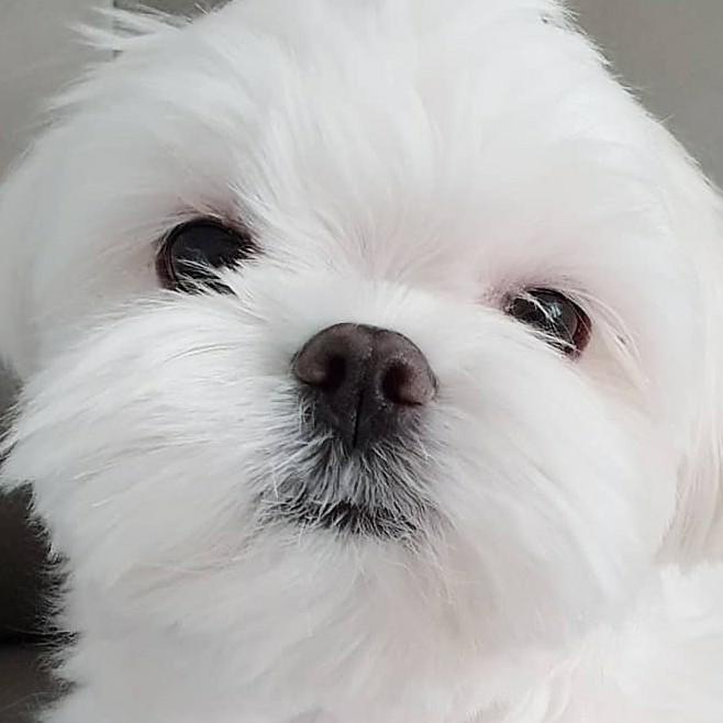 열대야 프로필
