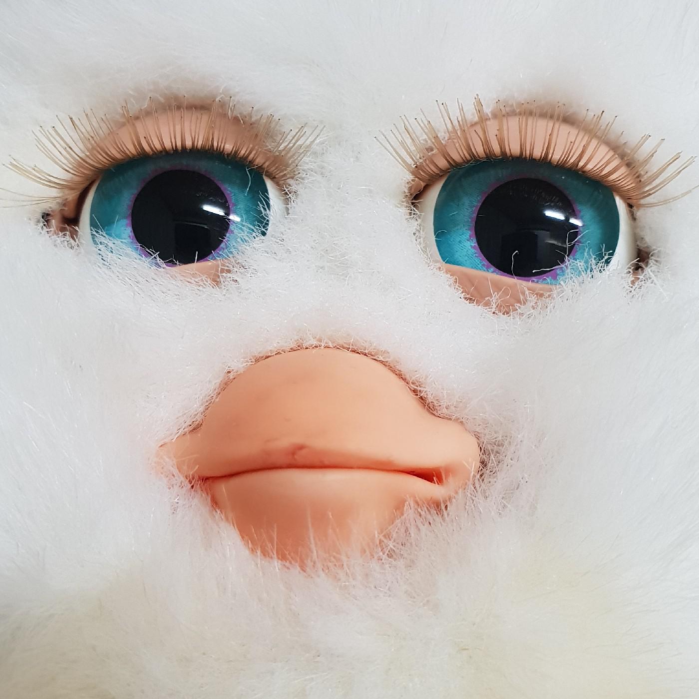 아하바하 프로필