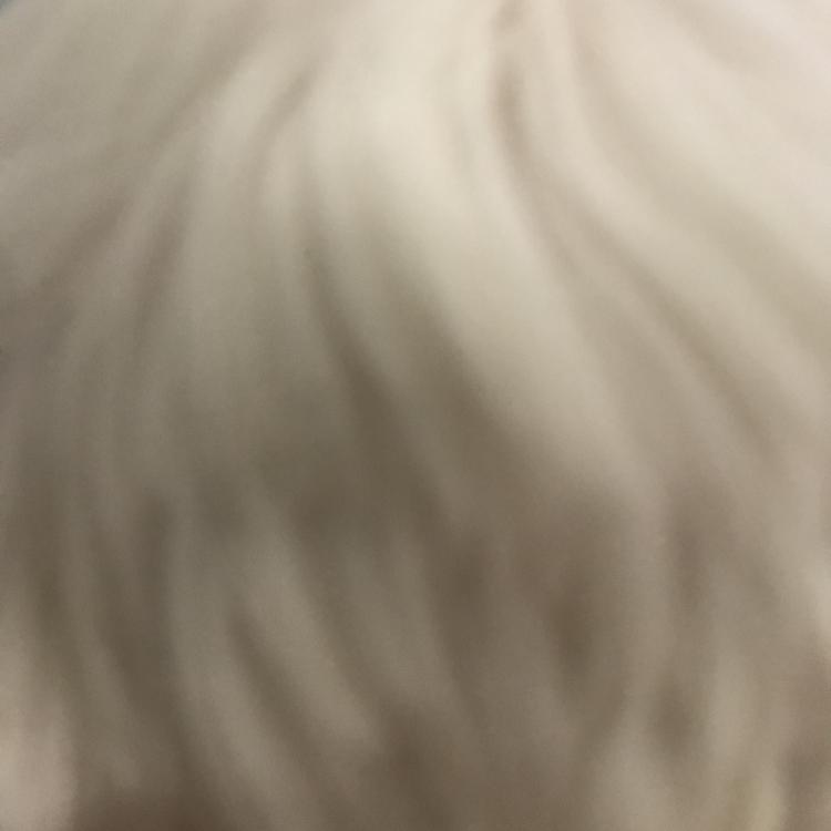 하히후헤호하후히 프로필