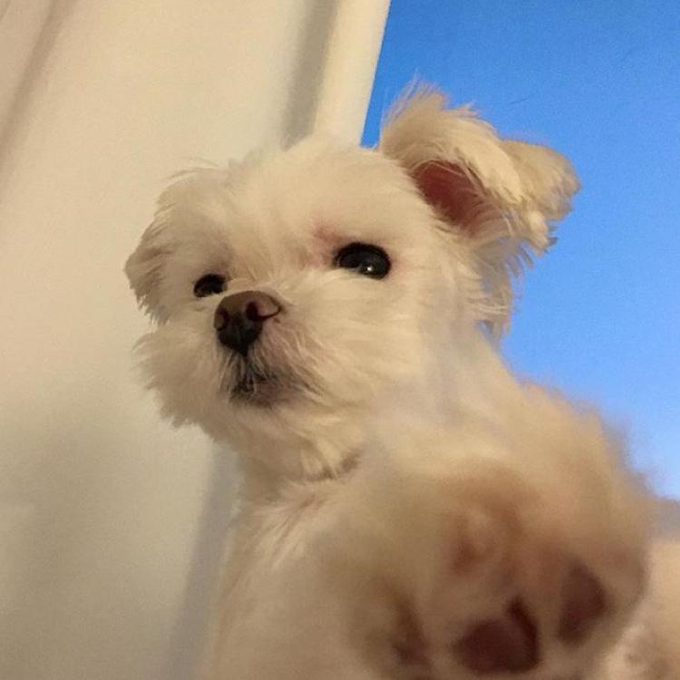 하림응 프로필