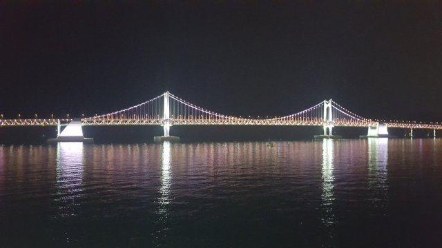 불개미겅듀 프로필