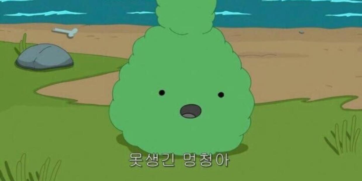 수비나 프로필