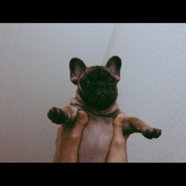 gotsla987 프로필