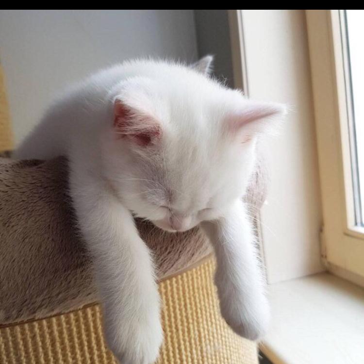 쪙23 프로필