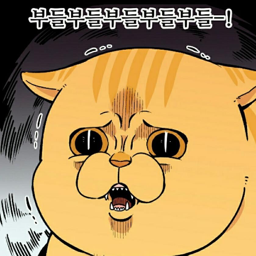 리뷰어 프로필