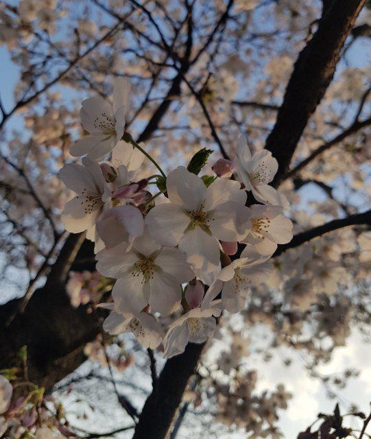 란란라니 프로필