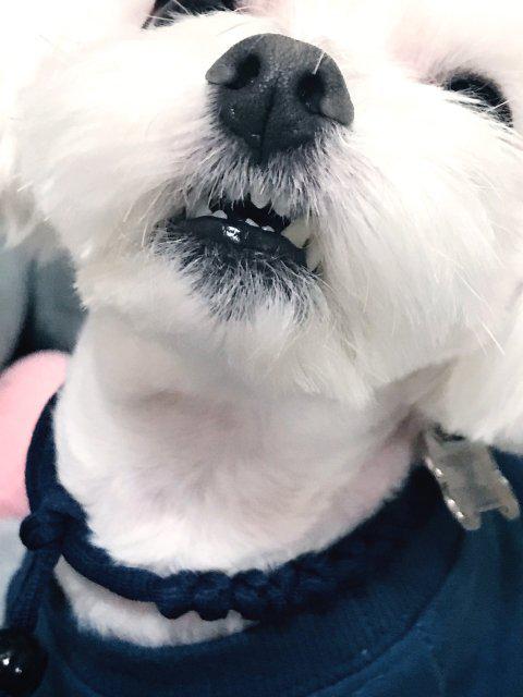 리뷰어 프로필