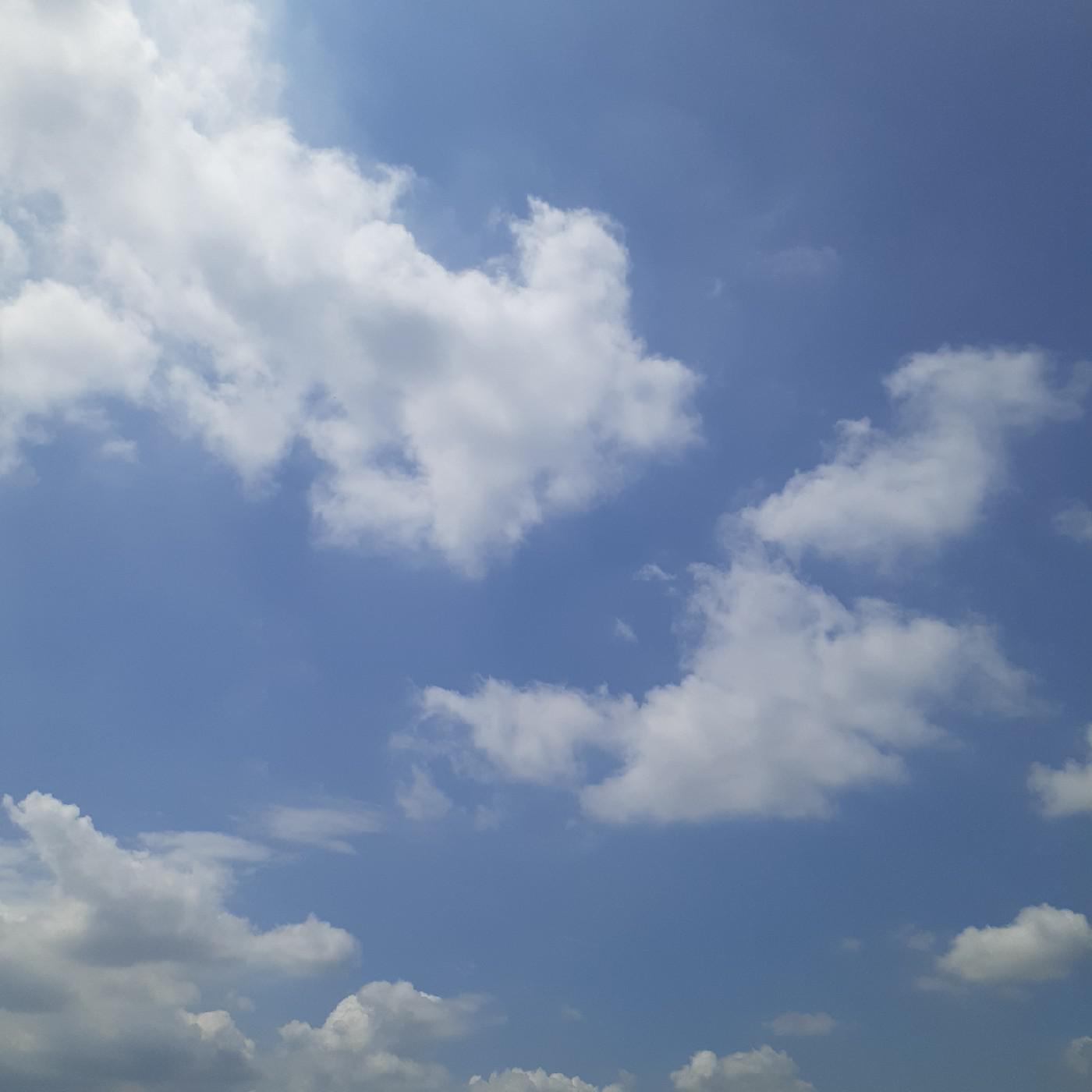 코S메틱덕후 프로필
