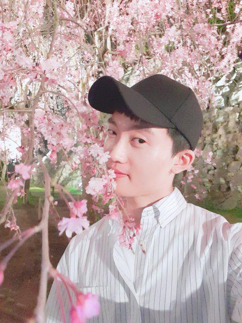하세울 프로필