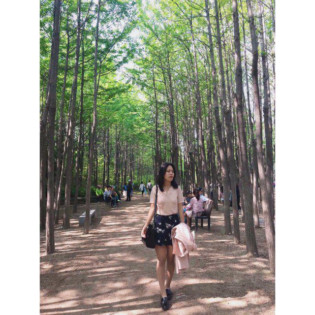 첼띠 프로필