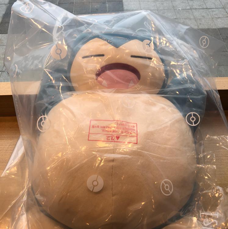 권디 프로필