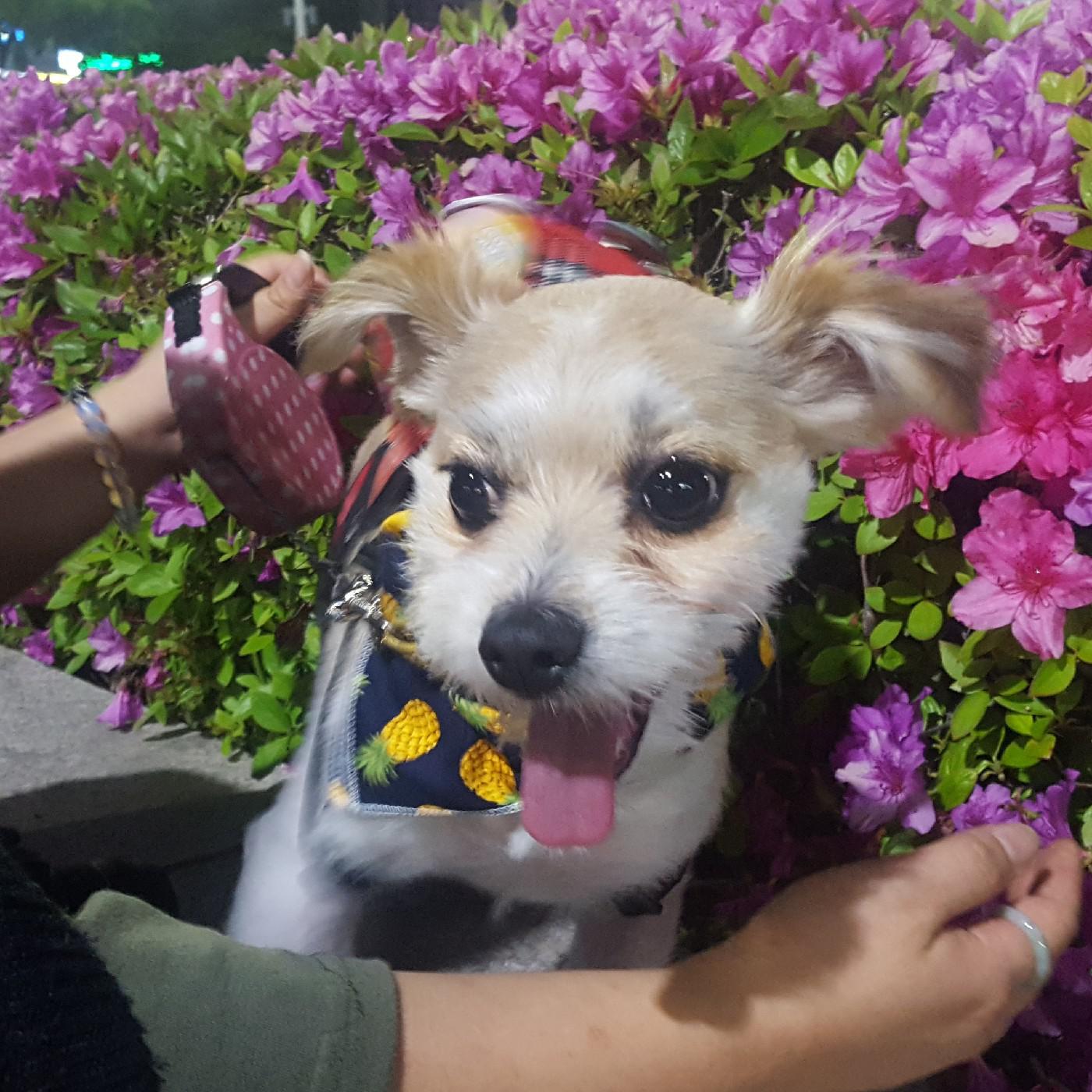 amazing 프로필