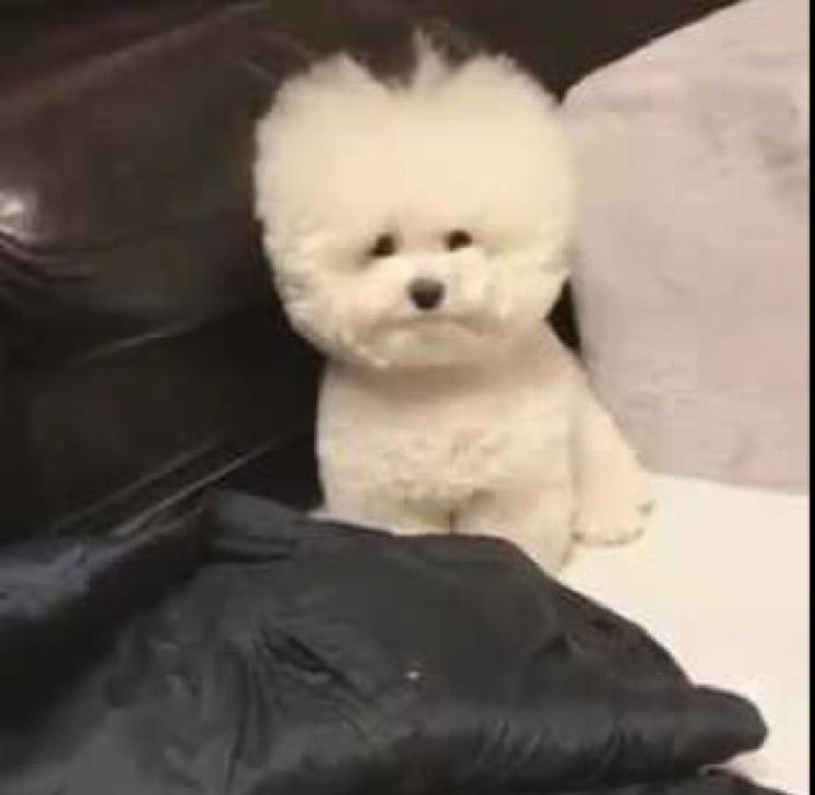 체여정 프로필
