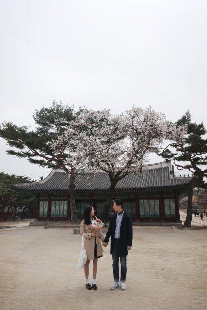 은새애 프로필