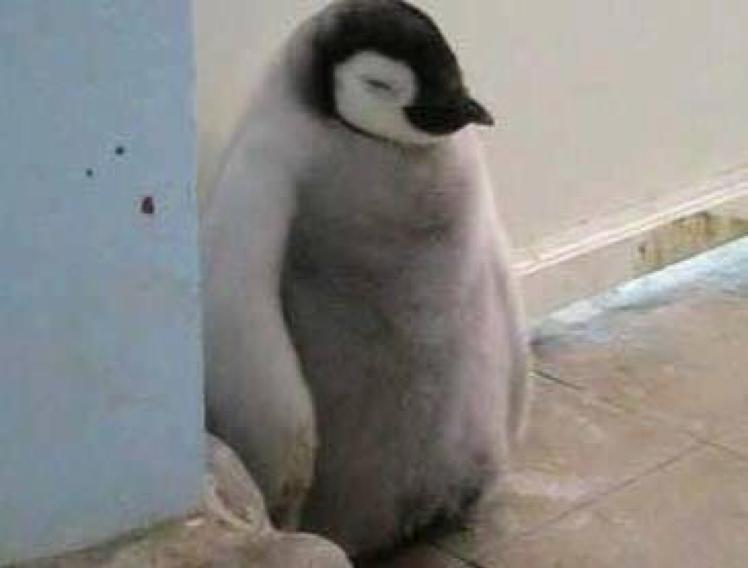 봄겨울b 프로필