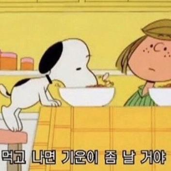 리뷰어 프로필