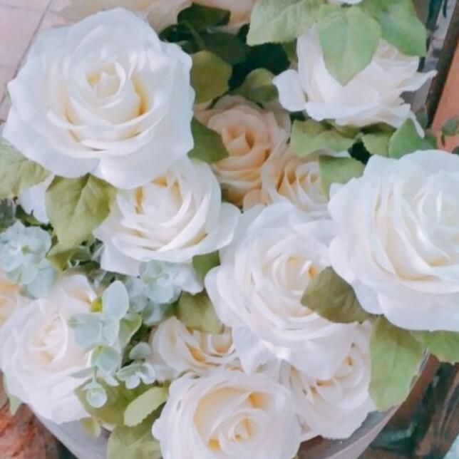 스노우메이 프로필