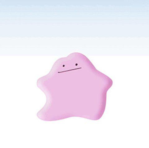 또이릿 프로필