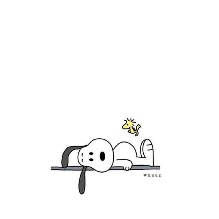 주리리 프로필