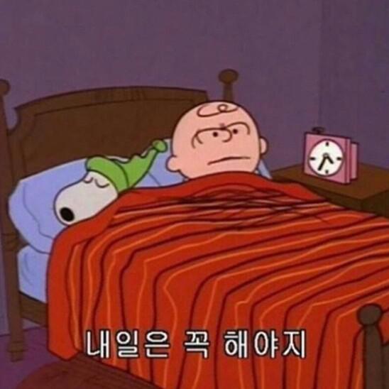 설탕설탕탕 프로필