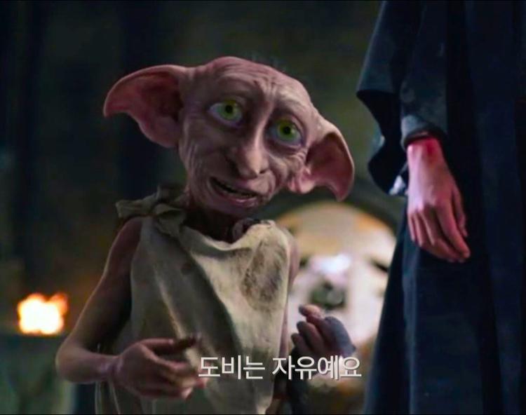 음음바 프로필