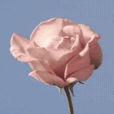 리뷰어 프로필