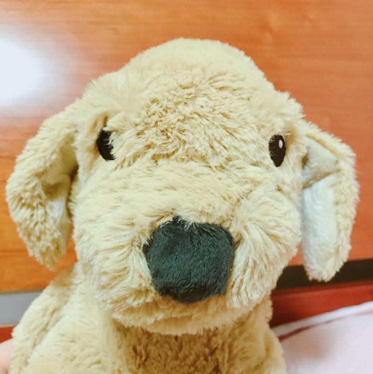 비요뜨죠아 프로필