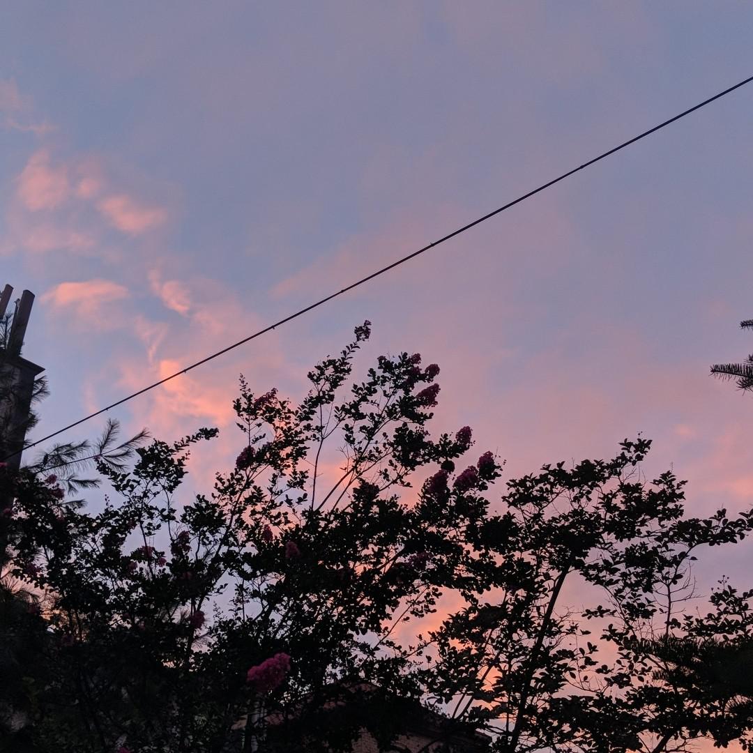 ybeer 프로필