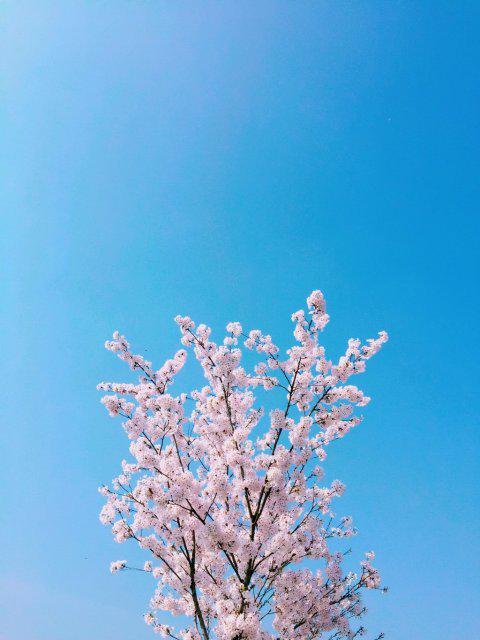 코덕코덕0128 프로필